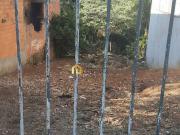 Terreno / Lote para Venda em Sorocaba/SP Jardim Santa...