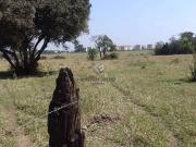 Terreno / Lote para Venda em Sumaré/SP Jardim Nova...