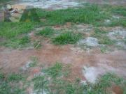 Terreno / Lote para Venda em Suzano/SP Chácaras Reunidas...