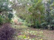 Terreno / Lote para Venda em Suzano/SP Cidade Edson