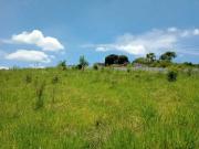 Terreno / Lote para Venda em Suzano/SP Fazenda Aya