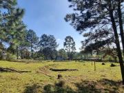 Terreno / Lote para Venda em Suzano/SP Ipelândia