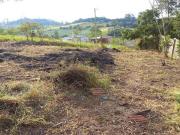 Terreno / Lote para Venda em Suzano/SP Jardim Nova Ipelândia