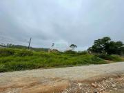 Terreno / Lote para Venda em Suzano/SP Jardim São Luís