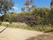 Terreno / Lote para Venda em Suzano/SP Palmeiras de São...