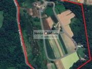 Terreno / Lote para Venda em Suzano/SP Parque Santa Rosa