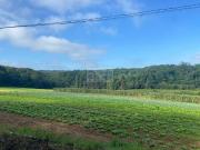 Terreno / Lote para Venda em Suzano/SP Parque Santa Rosa