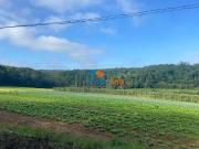 Terreno / Lote para Venda em Suzano/SP Vila Aparecida