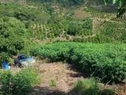 Terreno / Lote para Venda em Tanguá/RJ Posse dos Coutinhos