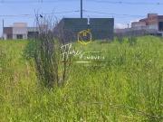 Terreno / Lote para Venda em Taubaté/SP Vila Areao