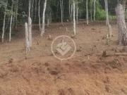 Terreno / Lote para Venda em Teresópolis/RJ Albuquerque