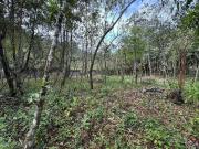 Terreno / Lote para Venda em Teresópolis/RJ Albuquerque