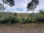 Terreno / Lote para Venda em Teresópolis/RJ Albuquerque