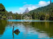 Terreno / Lote para Venda em Teresópolis/RJ Alto