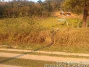 Terreno / Lote para Venda em Teresópolis/RJ Colônia Alpina