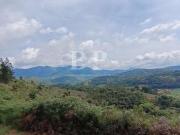 Terreno / Lote para Venda em Teresópolis/RJ Fazenda Suiça