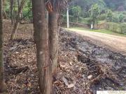 Terreno / Lote para Venda em Teresópolis/RJ Granja Mafra