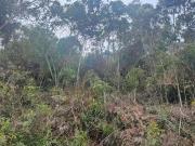 Terreno / Lote para Venda em Teresópolis/RJ Granja Mafra
