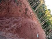 Terreno / Lote para Venda em Teresópolis/RJ Granja Mafra