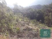 Terreno / Lote para Venda em Teresópolis/RJ Jardim Salaco