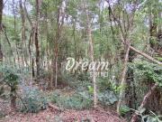 Terreno / Lote para Venda em Teresópolis/RJ Pessegueiros