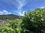 Terreno / Lote para Venda em Teresópolis/RJ Vale do Paraíso