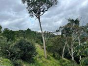 Terreno / Lote para Venda em Teresópolis/RJ Vargem Grande