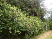 Terreno / Lote para Venda em Teresópolis/RJ Vargem Grande