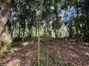 Terreno / Lote para Venda em Teresópolis/RJ Varginha