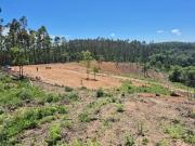 Terreno / Lote para Venda em Tijucas do Sul/PR Saltinho