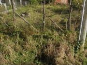 Terreno / Lote para Venda em Tramandaí/RS Indianópolis