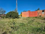 Terreno / Lote para Venda em Tramandaí/RS Nova Tramandaí