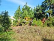 Terreno / Lote para Venda em Tramandaí/RS Nova Tramandaí Terreno / Lote para Venda em Tramandaí/RS Nova Tramandaí