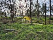 Terreno / Lote para Venda em Tramandaí/RS Tramandaí Sul