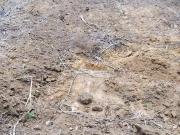 Terreno / Lote para Venda em Ubatuba/SP Arariba