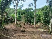 Terreno / Lote para Venda em Ubatuba/SP Casanga
