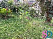 Terreno / Lote para Venda em Ubatuba/SP Centro