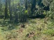 Terreno / Lote para Venda em Ubatuba/SP Ubatumirim