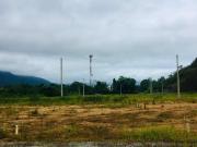 Terreno / Lote para Venda em Ubatuba/SP Estufa II