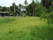 Terreno / Lote para Venda em Ubatuba/SP Horto Florestal