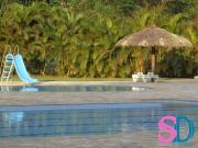 Terreno / Lote para Venda em Ubatuba/SP Horto Florestal