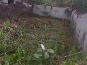 Terreno / Lote para Venda em Ubatuba/SP Horto Florestal