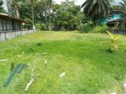 Terreno / Lote para Venda em Ubatuba/SP Horto Florestal