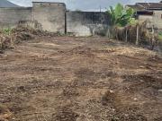 Terreno / Lote para Venda em Ubatuba/SP Mato Dentro