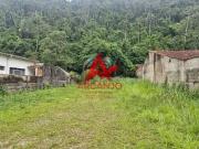 Terreno / Lote para Venda em Ubatuba/SP Perequê Açu