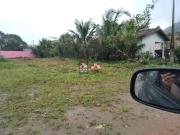 Terreno / Lote para Venda em Ubatuba/SP Praia da Lagoinha