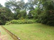 Terreno / Lote para Venda em Ubatuba/SP Praia da Lagoinha