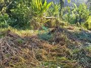 Terreno / Lote para Venda em Ubatuba/SP Praia da Lagoinha