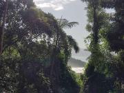 Terreno / Lote para Venda em Ubatuba/SP Praia do Félix...