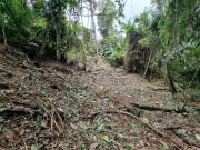 Terreno / Lote para Venda em Ubatuba/SP Praia do Félix...